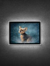 Glow & Wag Lightbox