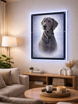 Glow & Wag Custom Lightbox Frame