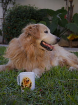 Morning With My Best Friend Custom Mug