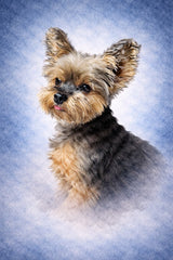 Custom Watercolor Pet Poster From Your Photo
