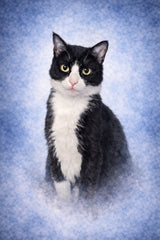 Custom Watercolor Pet Poster From Your Photo