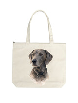 Carry Your Companion